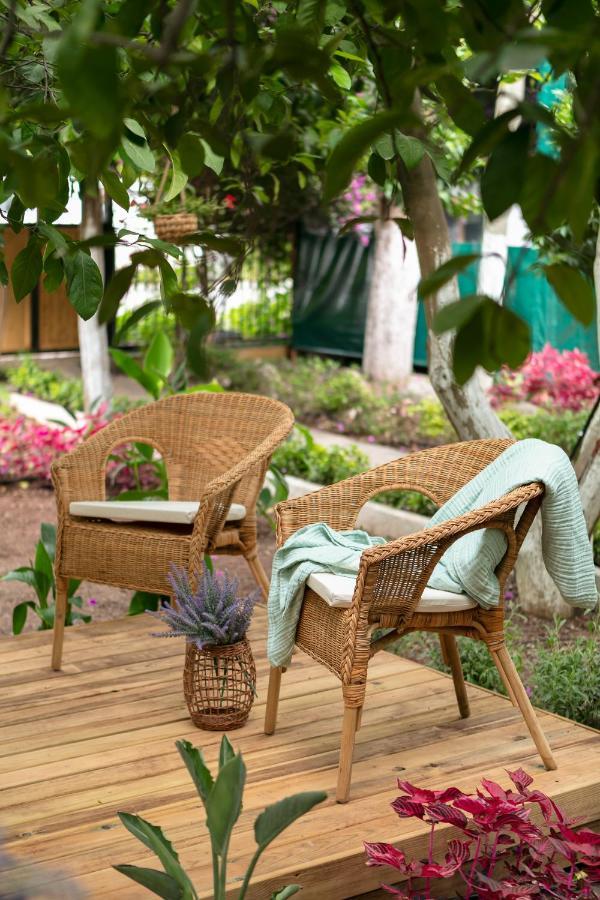 Gayb-I Bungalows By Naturelife - Free Access To Beach Çıralı Luaran gambar
